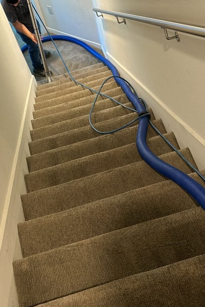 Radiant Carpets & Rugs Radiant Carpets & Rugs Carpet Cleaning in Martinsville