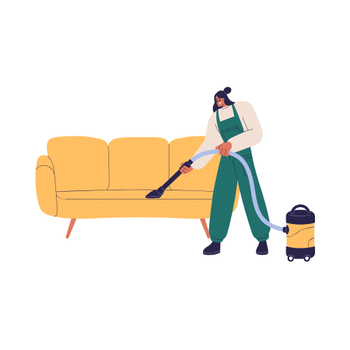 Upholstery Cleaning